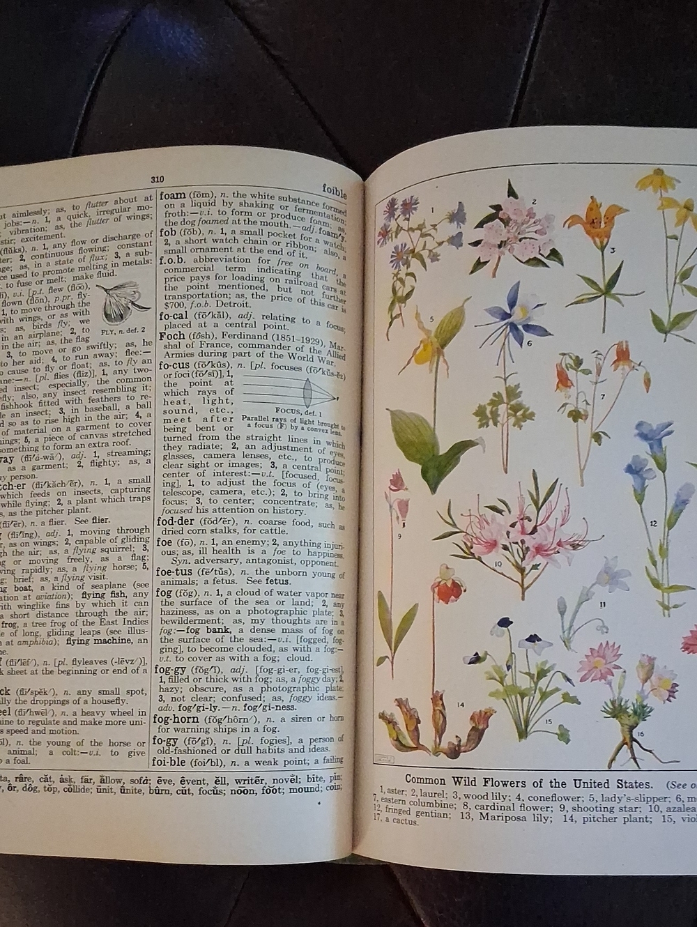 Antique Book Lot - Picture 5 of 12